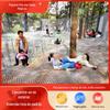 Área Cênica Externa Travessia na Selva Rede Mágica Rede de Escalada Infantil Expansão do Parque Ecológico Equipamento Não Motorizado Trampolim de Árvore Infantil