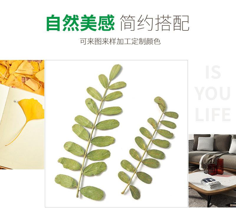 详情_04.jpg