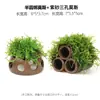 Aquário Musgo Terrário Planta Aquática Paisagismo Planta Real Tanque de Esconderijo para Peixes e Camarões Casa de Camarão Pequeno Ornamento Casa de Esconderijo para Criação de Peixes Pequenos