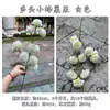 Cruzamento de Fronteira Novo Produto Colmeia Artificial Fruta Multi-Cabeça Pequena Fruta Colmeia Corredor de Casamento Portátil Casa Decoração Macia Flores Artificiais Atacado
