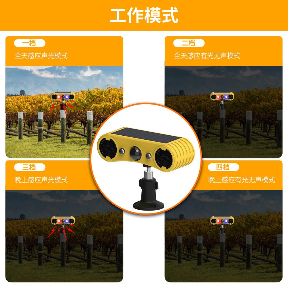 911W-外贸详情_05