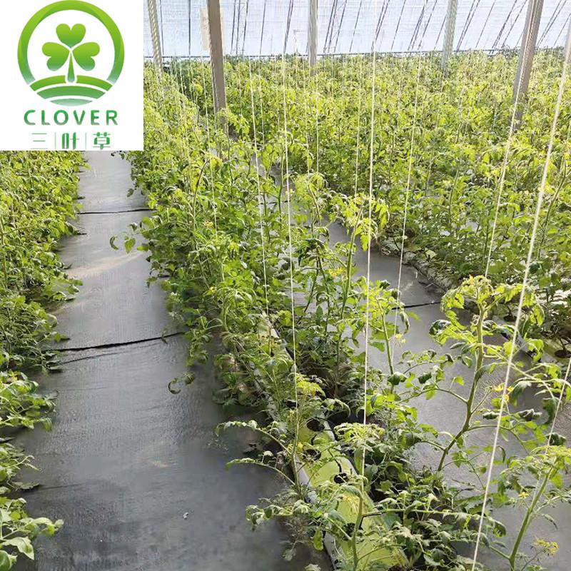 微信图片_202001091726317