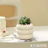 Plantas suculentas, plantas pequeñas de interior en maceta, cactus de mesa para sala de estar, plantas verdes, flores de vivero, fáciles de cuidar durante todo el año