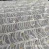 Dinastia Han Bordado Fio de Ouro Galho Malha Elástica Cinto Gancho Flor Bordada Vestido Outono e Inverno Alto Padrão