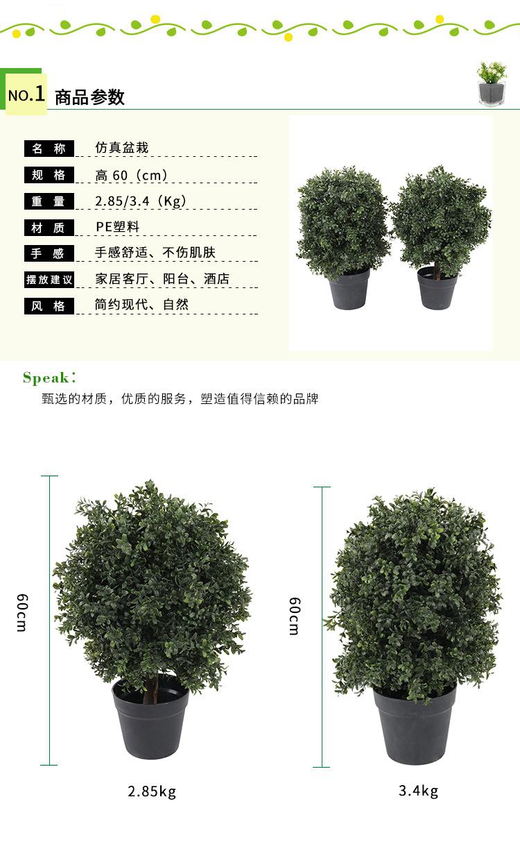 PZ18、PZ19_02