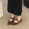 Zapatos de tacón alto de gamuza con punta fina y boca poco profunda para mujer, nueva versión coreana primavera y otoño, estilo francés suave de hada, viento de noche, zapatos Mary Jane