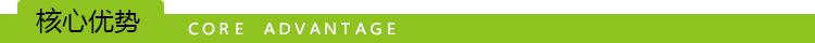 核心优势