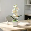 Maceta cuadrada al por mayor con 8 mini orquídeas phalaenopsis artificiales, planta falsa para fotografía y decoración de bodas