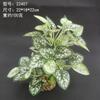Simulación flor falsa pasto falso planta verde decoración paisajística pecera adornos acuario suministro fabricantes comercio electrónico transfronterizo