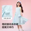 Faldas para Niñas Balabala Vestidos para Niños Estilo Verano 2025 Vestido de Princesa a Cuadros sin Mangas para Niños Pequeños Dulce