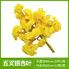 Folhas de Figueira da Índia Simuladas, Galhos de Mangueira, Folhas de Ginkgo, Galhos de Plantas Artificiais, Folhas de Bordo Vermelho, Folhas Verdes Artificiais, Flores Artificiais
