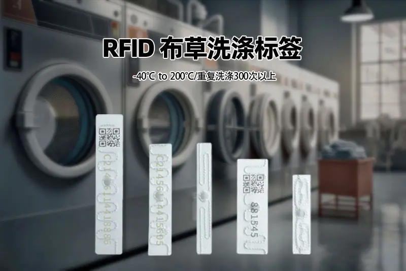 洗涤大图