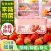 Caja desodorante nueva para refrigerador, anti-contaminación del aire, prevención de olores, caja colgante para conservación de alimentos frescos, caja antibacteriana para refrigerador, desodorante para congelador