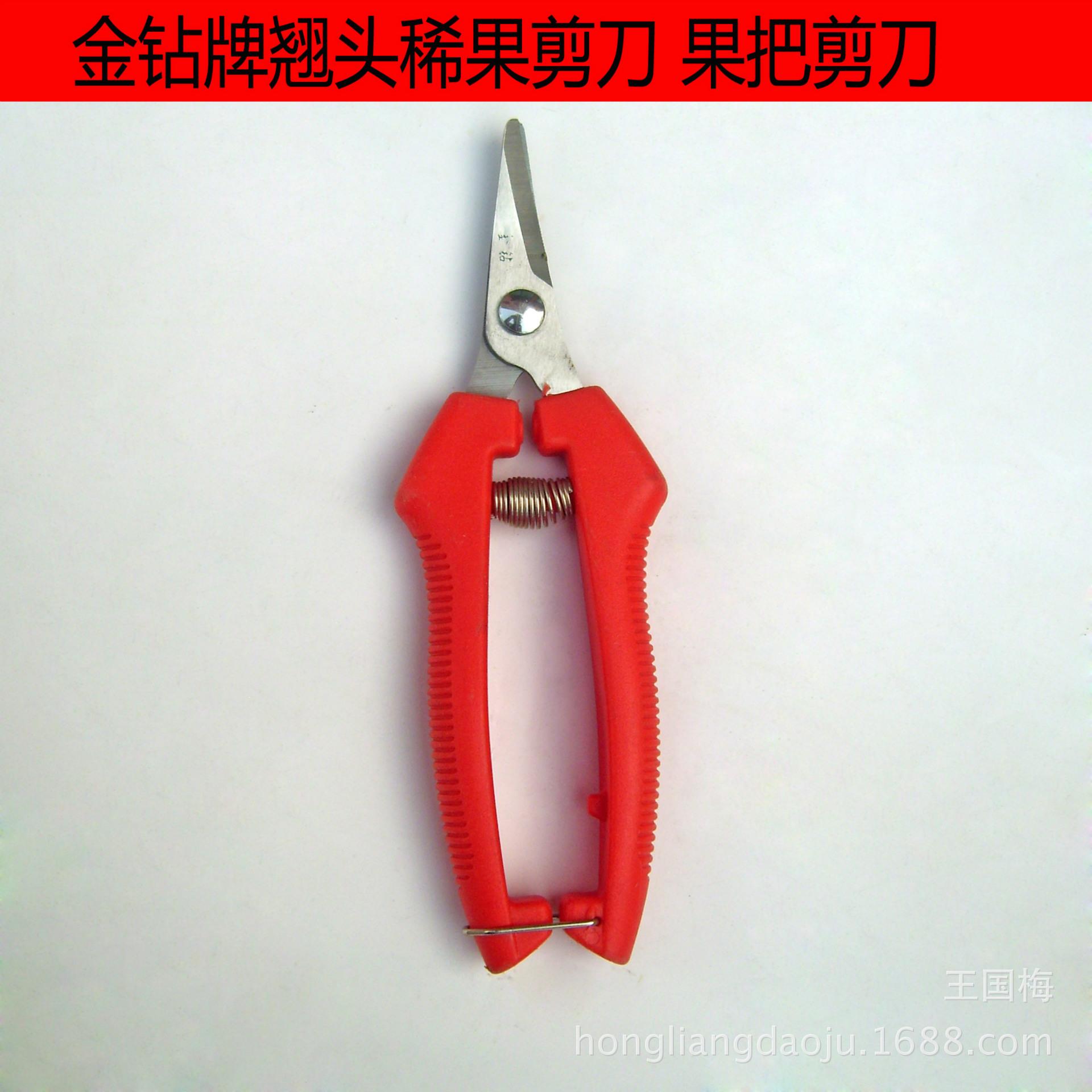 DSCI0045a