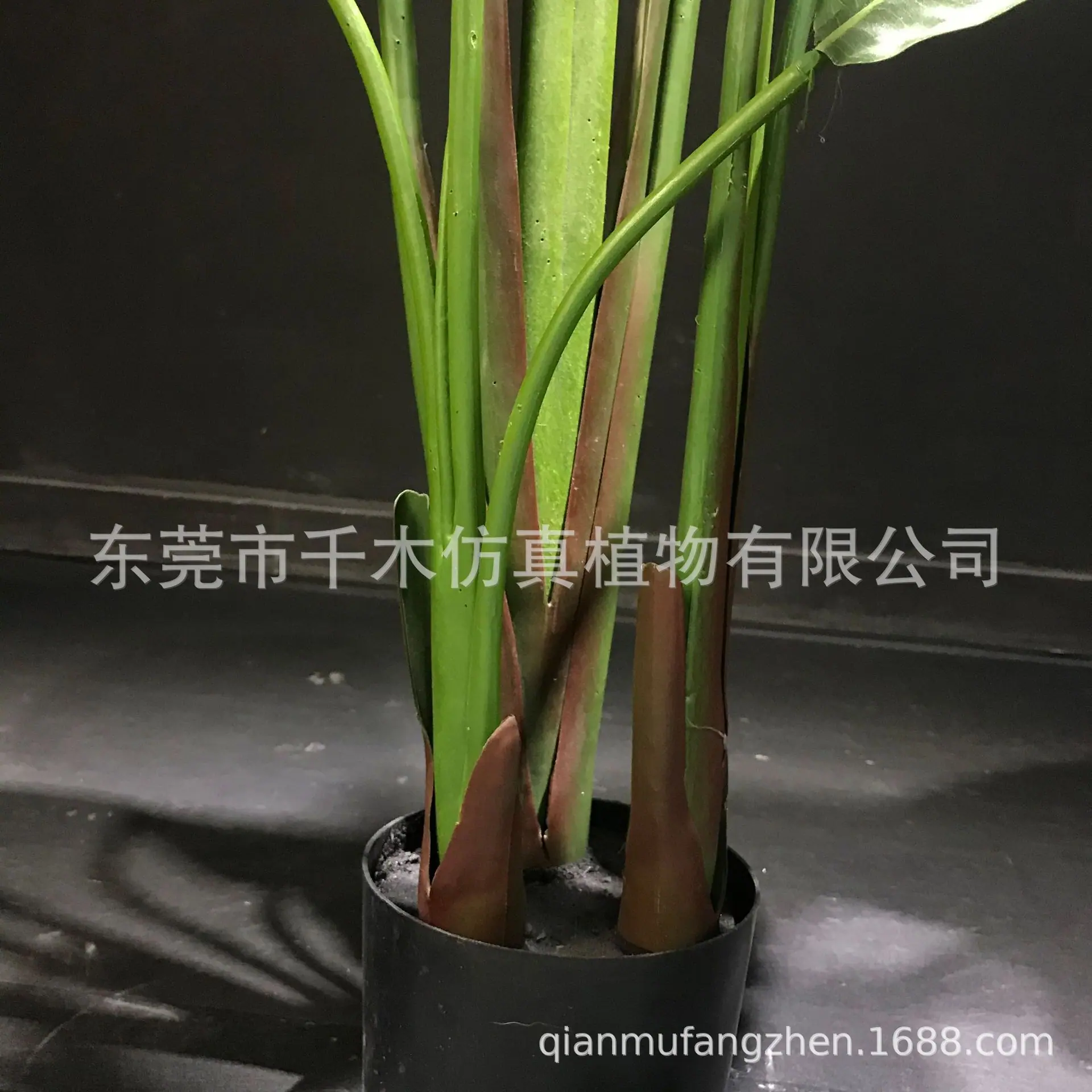 微信图片_202105181125526