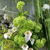 Flores de simulação para casa de alta qualidade fabricantes de comércio exterior 3 toque de cola macia madeira hortênsia verde decoração de casamento flores artificiais atacado