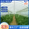 Línea de Calefacción por Piso Dapeng de Fábrica Línea de Calefacción por Piso Dapeng para Cría de Vegetales Línea de Calefacción Eléctrica de Línea Caliente Dapeng
