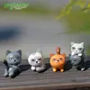 Terrário de musgo, enfeites de plantas suculentas, enfeites de bonecas, materiais DIY para projetos criativos e itens com tema de "gato não tão fofo"