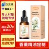 Aceites Esenciales de Aromaterapia Personalizados, Aceites Esenciales de Plantas Aromáticas, Botellas con Gotero de Comercio Exterior Transfronterizo, Aceites Esenciales para Aire Fresco, Procesamiento de Fabricante