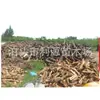 Tenemos grandes cantidades de leña de madera de azufaifo en stock durante todo el año.. La madera es dura y adecuada para calentar chimeneas, para árboles frutales y para cocinar pizza y bistec.