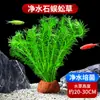 Plantas de acuario, césped real para paisajismo acuático, set ecológico completo de decoraciones, cría de peces, oxigenación, sustrato, plantas verdes hidropónicas de sombra, disponibles para entrega