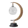Luz de estrelas e lua LED Amazon transfronteiriça bola de rattan de maçã luminária de mesa criativa corda de cânhamo ferro USB luz noturna decorativa