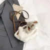 Bolsa Peluda para Mujer 2025 Nuevo Estilo Caliente Otoño e Invierno Bolso Cruzado Versátil de Moda Bolso de Felpa de Lana de Cordero Bolso de Mano Bolso Tote Pequeño