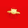 Anillo de tigre de latón chapado en oro mate, fabricantes de joyas de oro de imitación, anillo de tigre ajustable para damas al por mayor