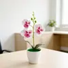 Maceta Redonda Pequeña Transfronteriza Tres Orquídeas Phalaenopsis Planta en Maceta de Simulación Decoración de Entrada de Casa Mueble de TV Flor Artificial de Película Planta en Maceta