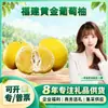 Seleção CuidadosaPequi Dourado de Fujian Fresco Compra Atacadista Fruta Média/Grande / Caixa de Presente / 1 Fruta Fresca