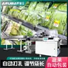 Máquina Empaquetadora Automática de Verduras Máquina Automática de Pesaje y Etiquetado Fabricante de Gama Completa de Líneas de Producción de Empaque de Verduras