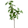 Transfronterizo Nuevo Hoja Falsa Hoja de Sauce Artificial Hogar Mesa de Comedor Arreglo Floral Hoja de Planta Verde Decorativa Hoja de Sauce Simulación Sencilla