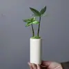 Maceta Pequeña, Planta Suculenta Verde, Ciprés de Bambú, Cerámica Esmaltada Agrietada por Hielo Hecha en Horno Maceta para Mesa Interior y Exterior con Agujeros Adornos de Cerámica