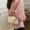 Bolso de mano estilo coreano con un solo hombro para mujer, primavera y verano 2024, bonito bolso de mano para ir al trabajo