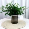 Planta verde de escritório vaso pequeno de mesa hidropônico sala de estar interior florindo árvore da boa sorte endro verde flores de mesa