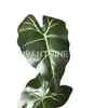 Hoja de taro artificial Hoja de cisne planta verde artificial decoración de boda decoración de planta accesorios para sesión de fotos en interiores hojas de planta verde