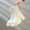 Botines gruesos para mujer 2026 otoño e invierno nuevo estilo que aumentan la altura, adelgazantes, de moda, con tacón grueso y cremallera trasera en beige