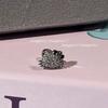 Brincos de Parafuso Planos Fofos de Gato Kt com Laço Totalmente Cravejados de Diamante Studs para Cartilagem da Orelha