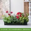 Hc-Cd3 Arreglo de Macetero de Flores de Planta Verde Simulada Combinación de Partición de Plantas Decoración de Paisajismo con Flores Artificiales Flores Falsas