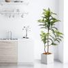 Bonsái artificial, planta verde, helecho, bonsái, árbol de la fortuna, planta de hojas dentadas, planta para ventana de centro comercial, decoración de piso interior