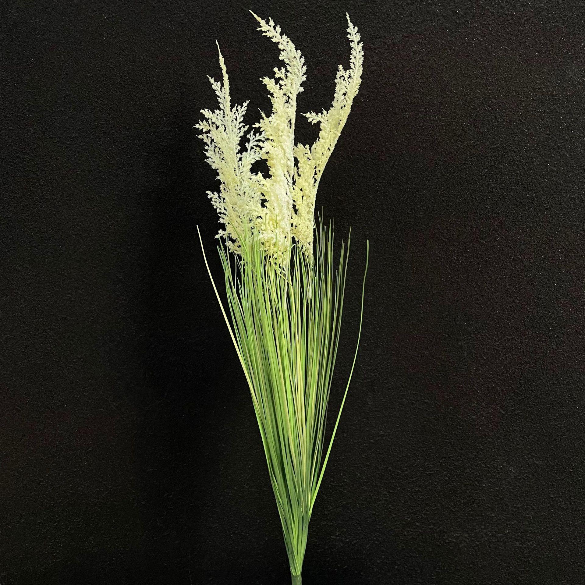 微信图片_20251027134059_314_48