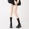 Meias Sociais de Algodão Azuis Finas Respiráveis de Retalhos de Renda Estilo Hot Girl Ballet para Mulheres