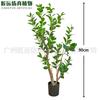 Decoração de Casa para Varanda Ornamentos de Plantas Bonsai Interior Casamento Flor Artificial Planta em Vaso para Janela Árvore de Camélia Artificial