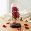 Ramo de Flores Eternas de Rosa Transfronterizo en Cúpula de Cristal, Caja de Regalo para el Día de San Valentín, Producto Terminado, Regalo de Navidad para el Día de la Madre
