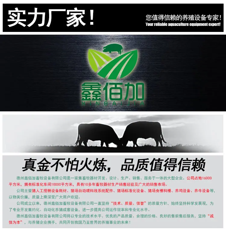 详情页通用模板B (1).jpg