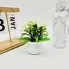 Novas 5 Pequenas Orquídeas Vaso Quadrado Pequeno Simulação de Bonsai Flores Artificiais Pastorais Bonsai de Interior Sala de Estar Mesa de Jantar Adereços Decorativos