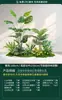 Plantas Verdes Simuladas, Paisagismo Interno em Larga Escala, Combinações de Paisagismo Externo, Decorações de Vitrine de Luxo Leve de Alta Qualidade, Plantas Artificiais em Vasos de Chão