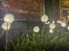Luces de Bola de Alambre de Cobre Solares Luces para Césped al Aire Libre Luces de Caña Luces de Paisaje Luminosas Luces Decorativas para Patio y Jardín Ninguno