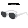 Gafas de Sol Irregulares Estilo Retro Americano INS para Mujer Personalidad de Moda Callejera Gafas de Sol de Moda Estilo Clásico Gafas Versátiles