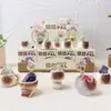 Comércio Exterior Charm de Raposa de Nove Caudas Aveludado Caixa Surpresa Figura Decoração de Mesa Tendência Boneca de Resina Atacado